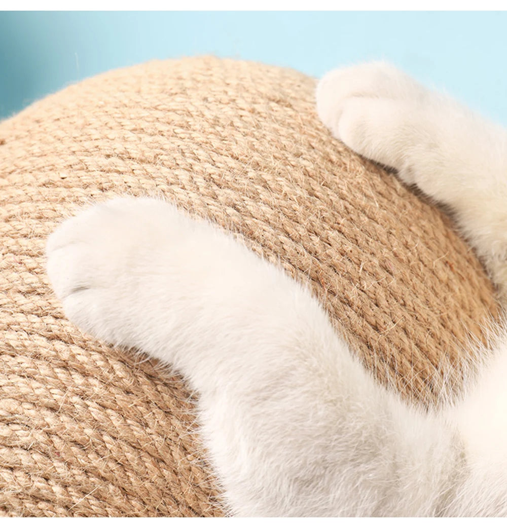 Cat Scratching & Spinning Ball Toy