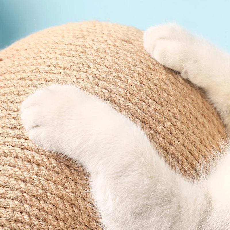 Cat Scratching & Spinning Ball Toy