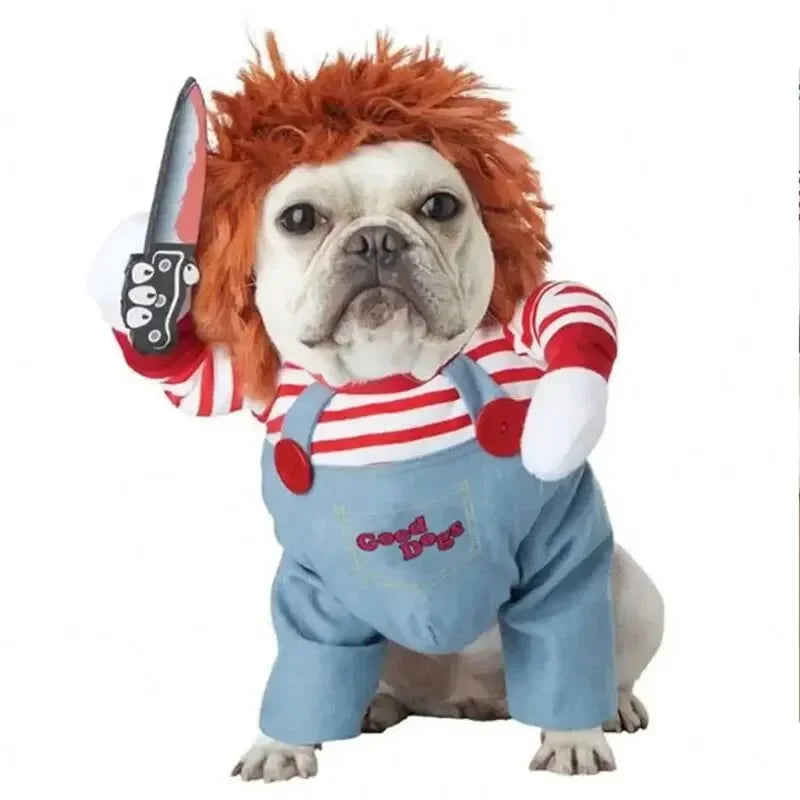 Pet Costume – Funny Outfit for Dogs & Cats | Festival & Party Dress-Up