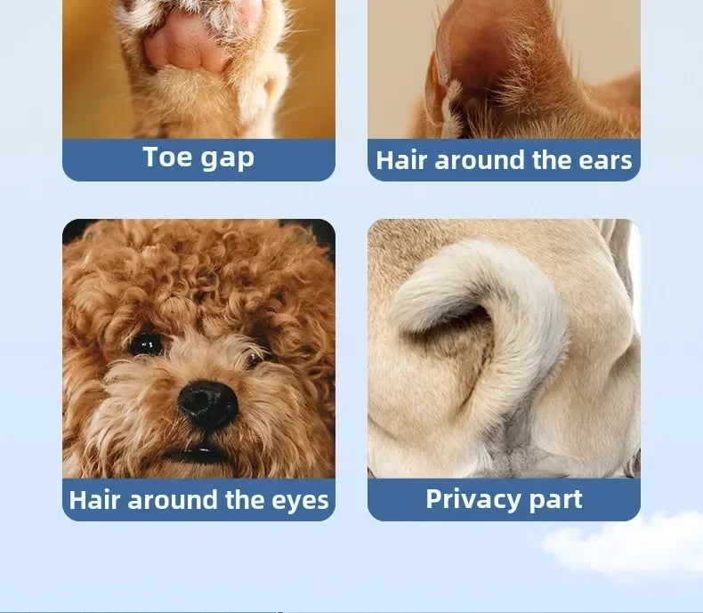 Professional Paw/ Hair Trimmer with LED Light