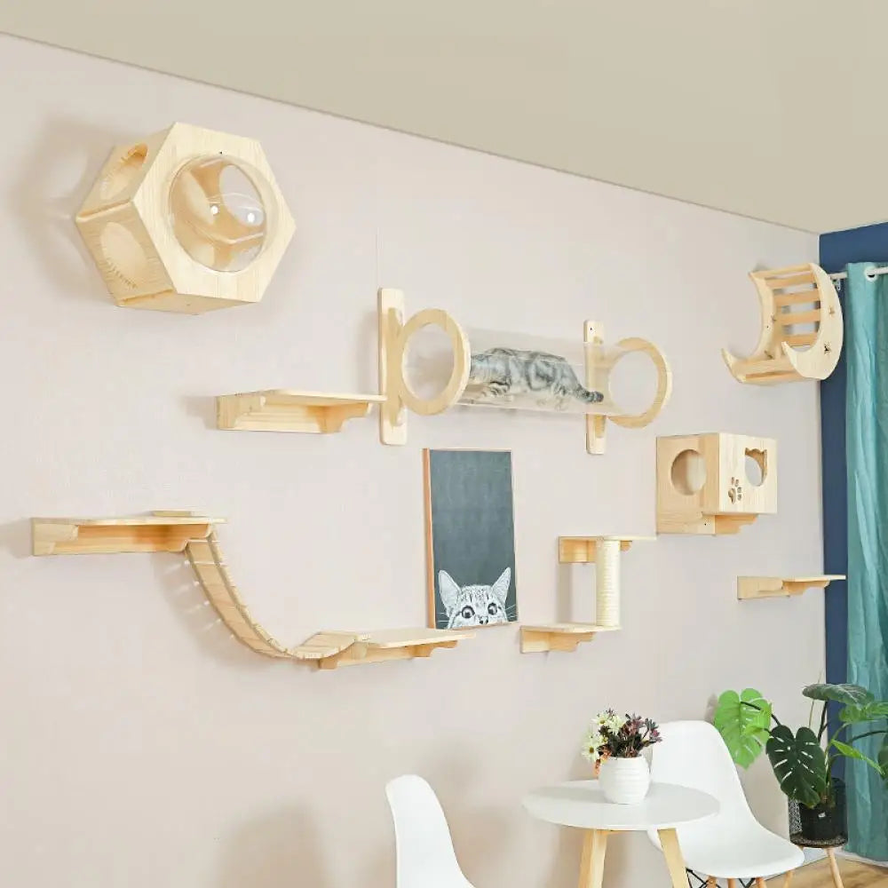 Cat Wall Furniture | Cat Tree with Shelves, Hammock, Rope Ladder & Scratching Post