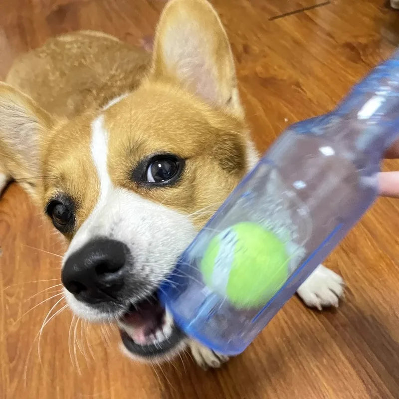 Pet Dog Chew Toy
