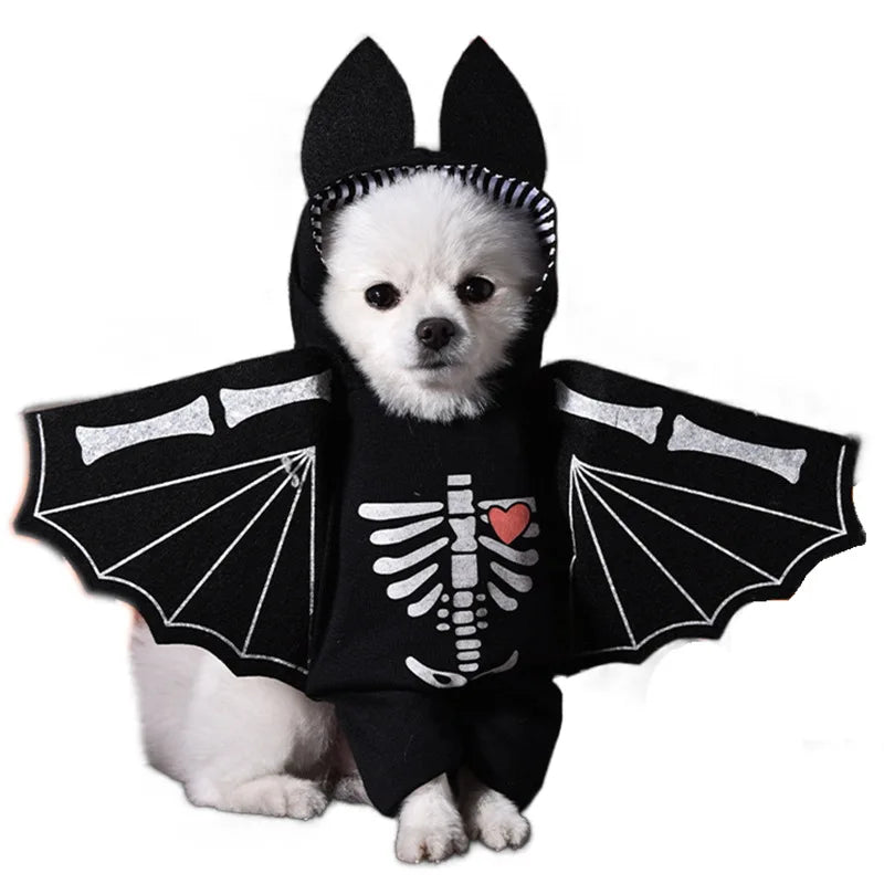 Pet Costume – Funny Outfit for Dogs & Cats | Festival & Party Dress-Up