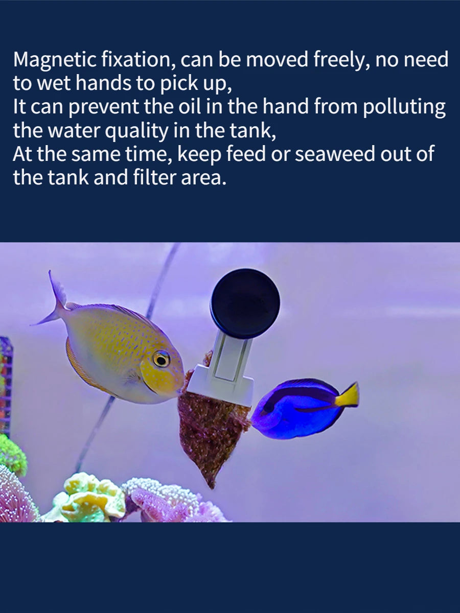 Magnetic Aquarium Veggie Feeding Clip
