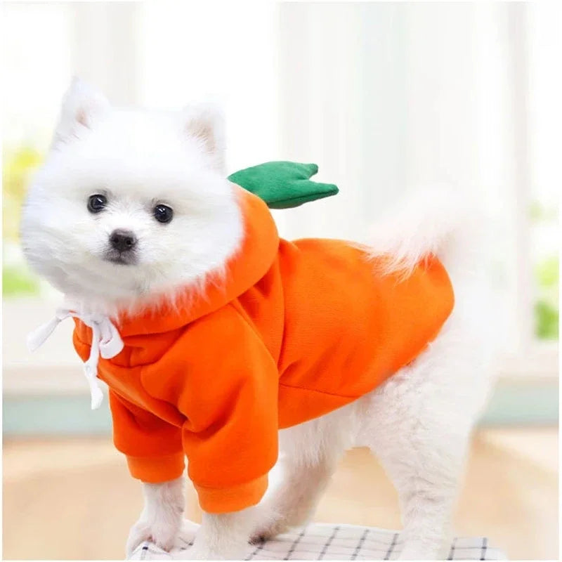 Cute Dog / Pet Costumes / Halloween Costumes for Pets