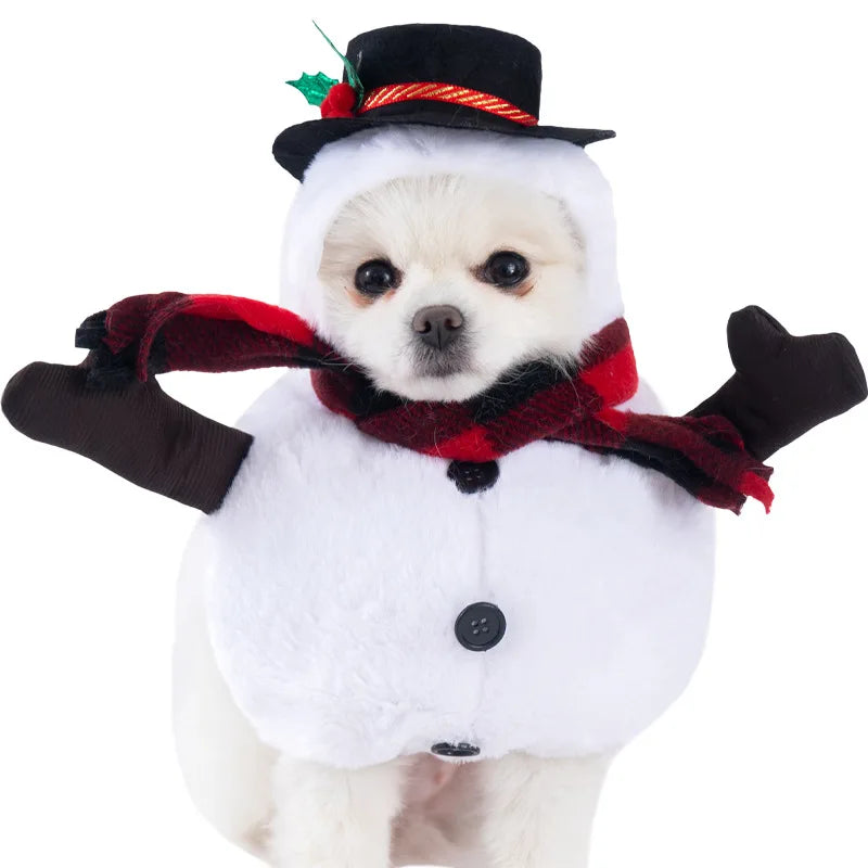 Pet Costume – Funny Outfit for Dogs & Cats | Festival & Party Dress-Up