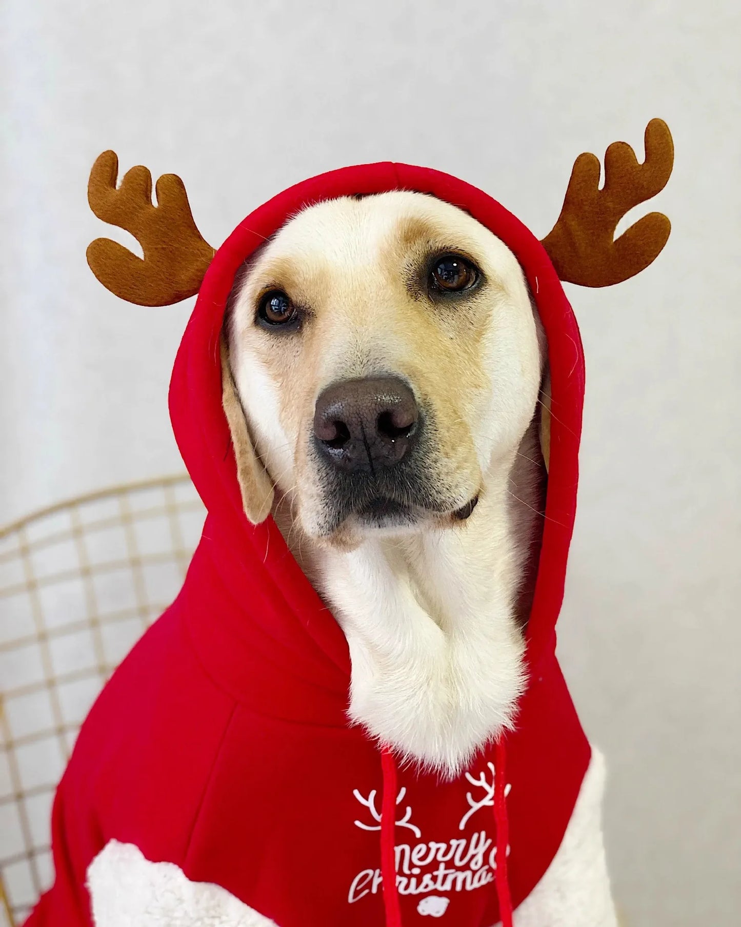 Winter Fleece Dog Sweatshirt with Christmas Fawn Design