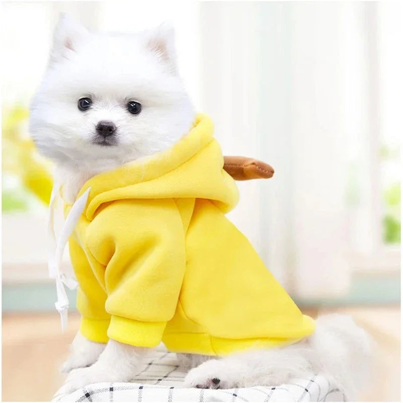 Cute Dog / Pet Costumes / Halloween Costumes for Pets