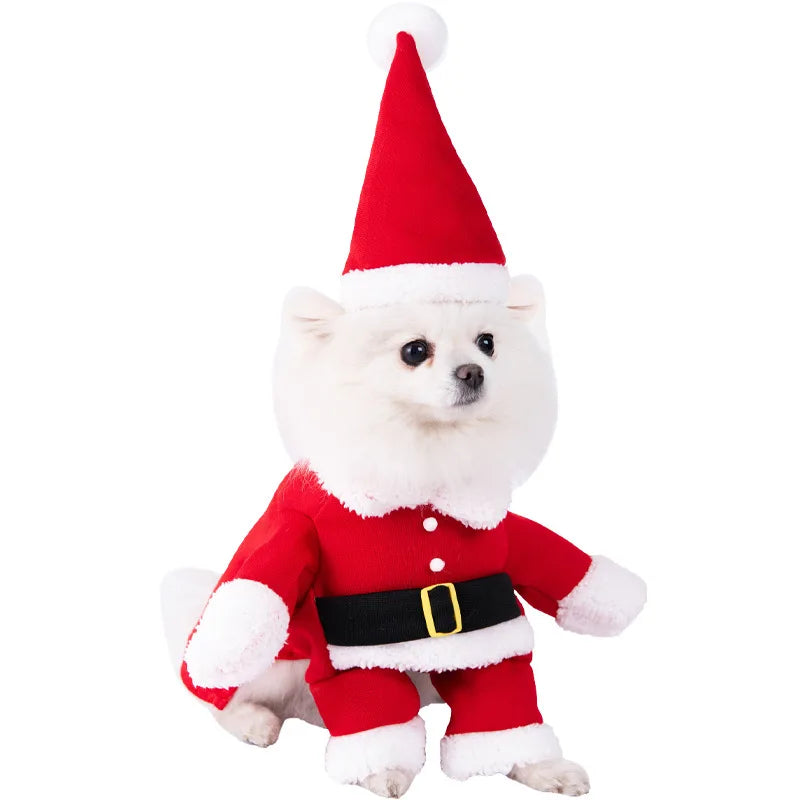 Pet Costume – Funny Outfit for Dogs & Cats | Festival & Party Dress-Up