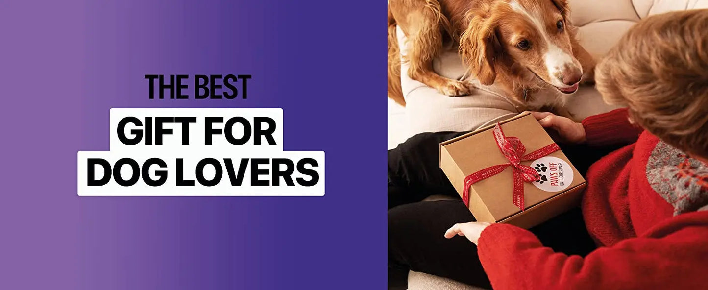 Ultrasonic Dog Bark Control Device – Rechargeable Painless Anti-Bark Training Tool with Flashlight