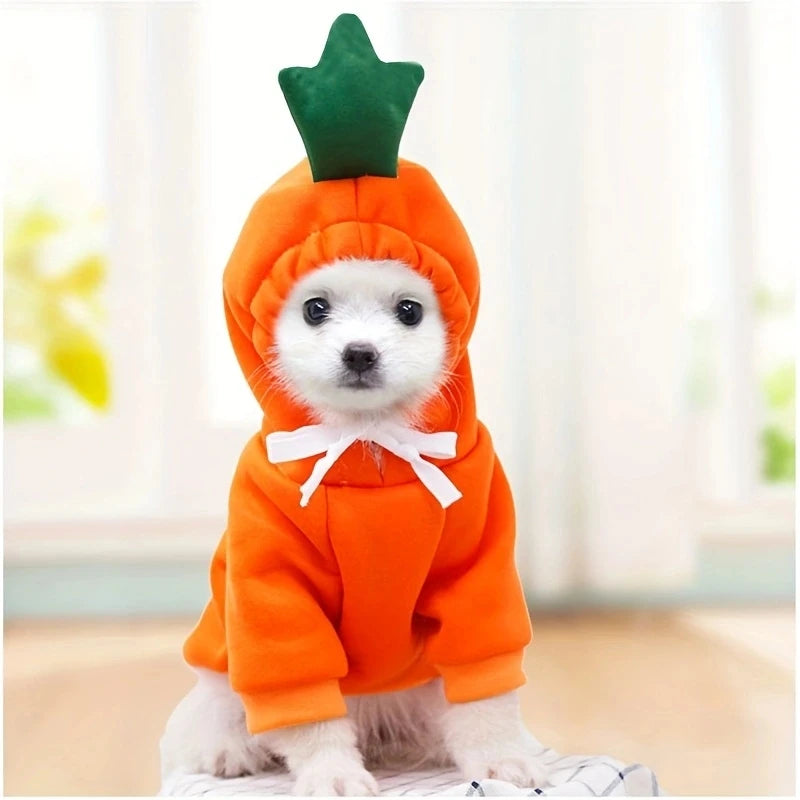 Cute Dog / Pet Costumes / Halloween Costumes for Pets