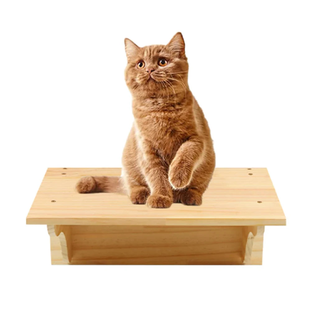Cat Wall Furniture | Cat Tree with Shelves, Hammock, Rope Ladder & Scratching Post