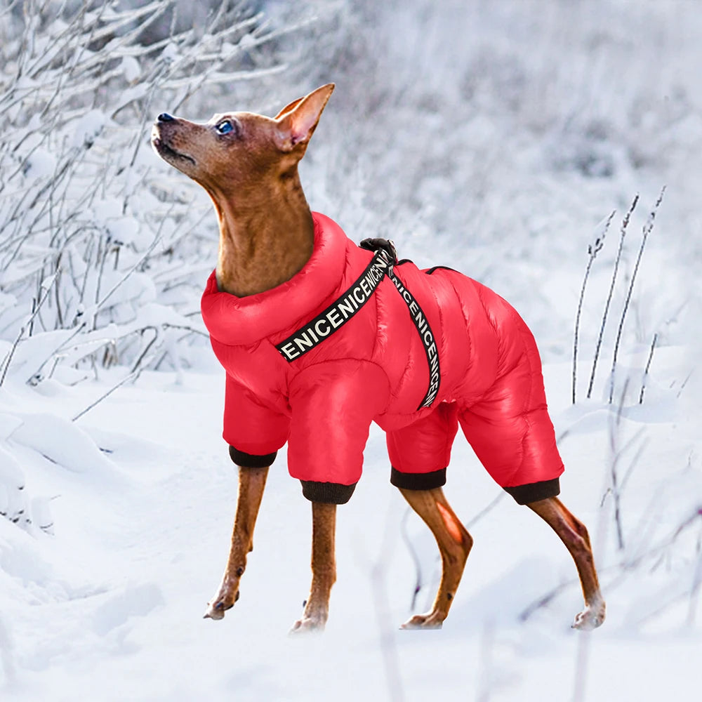 Waterproof Winter Dog Jacket / Puffer with Built-in Harness