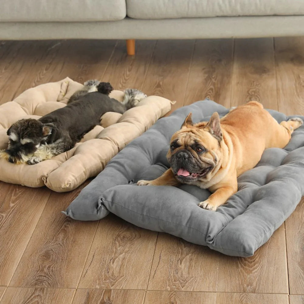 3-in-1 Pet Cushion for Small & Medium Dogs and Cats