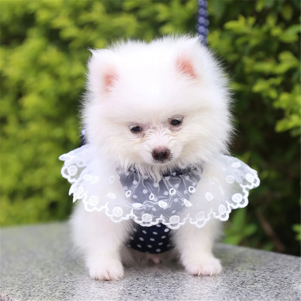 Princess Sweet Dog Vests With Bow-knot