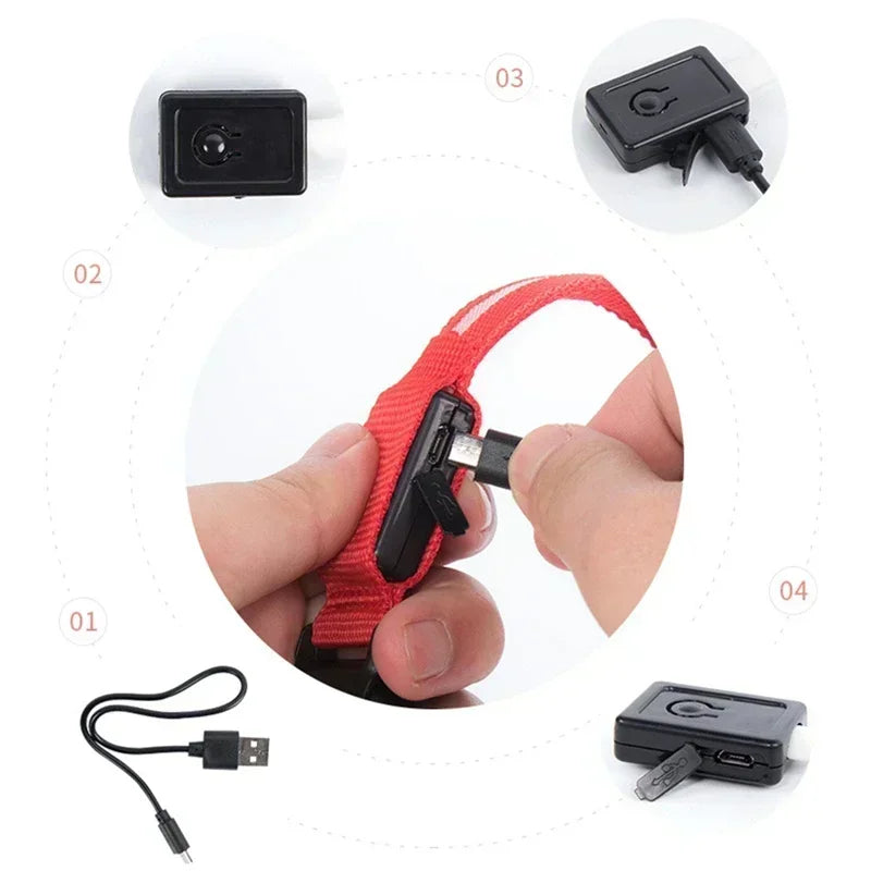 LED Glowing Dog Night Safety Collar