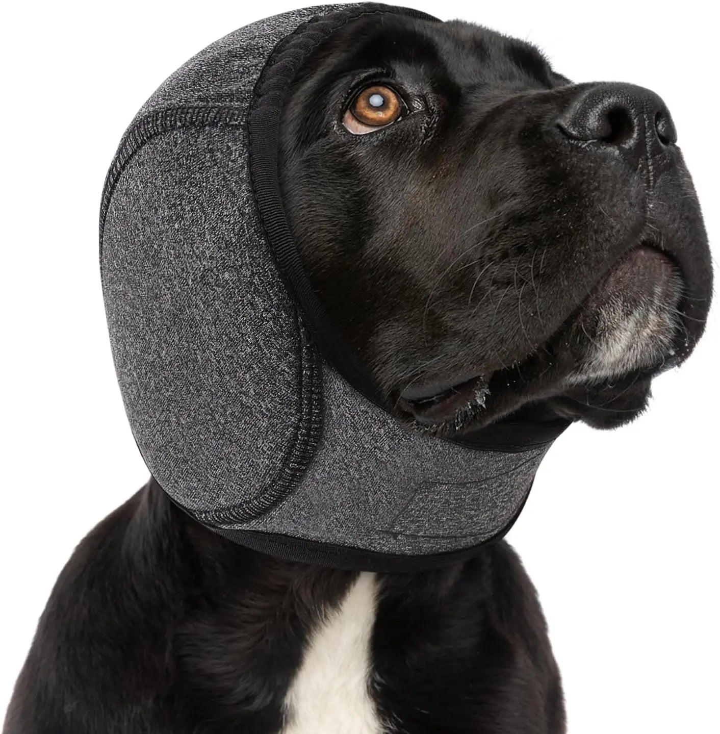 Dog Ears & Head Cover – Waterproof Noise-Reducing Pet Headscarf