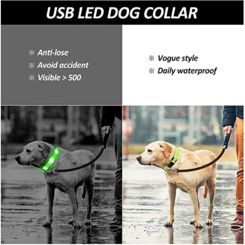 LED Glowing Dog Night Safety Collar