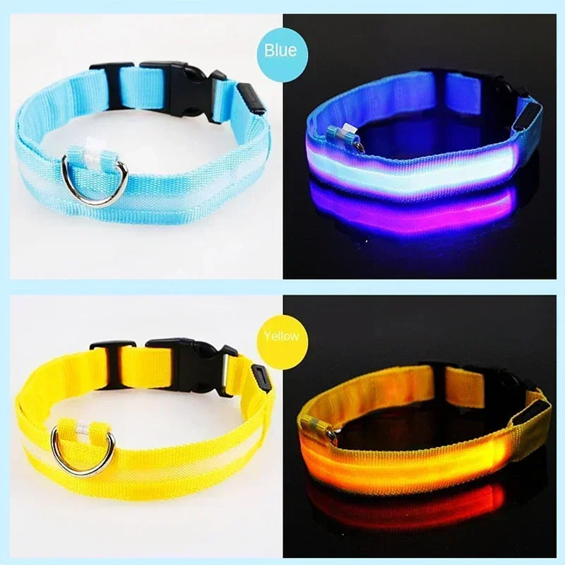 LED Glowing Dog Night Safety Collar