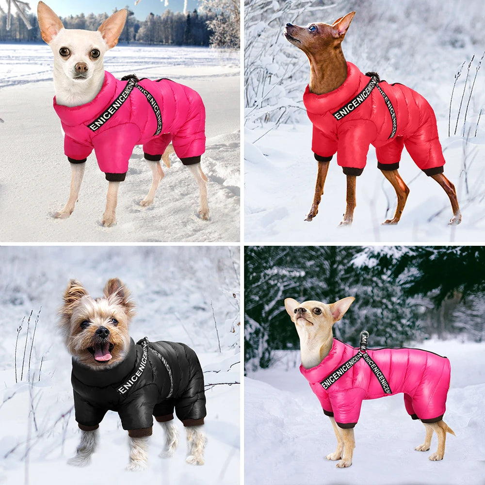 Waterproof Winter Dog Jacket / Puffer with Built-in Harness