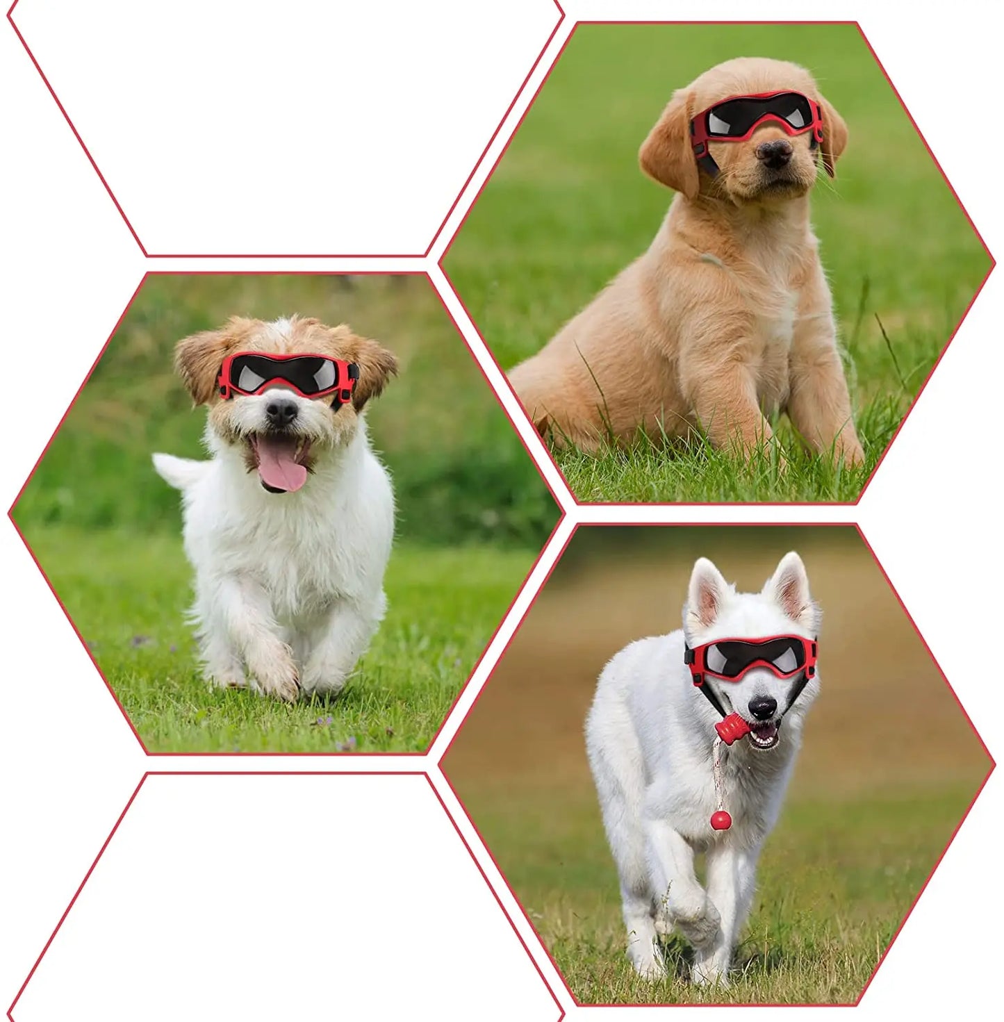 Dog & Cat Sunglasses – UV Protection Goggles for Small & Medium Dogs
