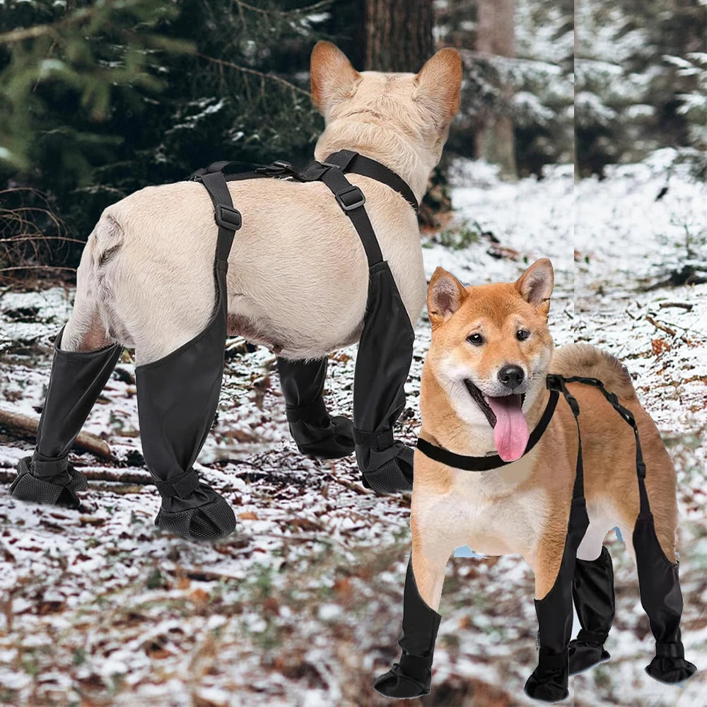 Anti-Slip Dog Shoes – Paw Protector, Rain & Outdoor Booties, Dirt-Proof, Secure Fit