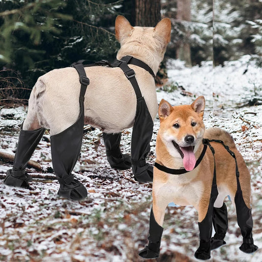 Anti-Slip Dog Shoes – Paw Protector, Rain & Outdoor Booties, Dirt-Proof, Secure Fit