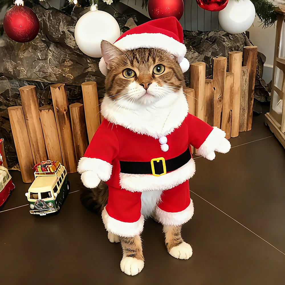 Christmas Pet Costume – Cute Cat & Dog Santa Outfit