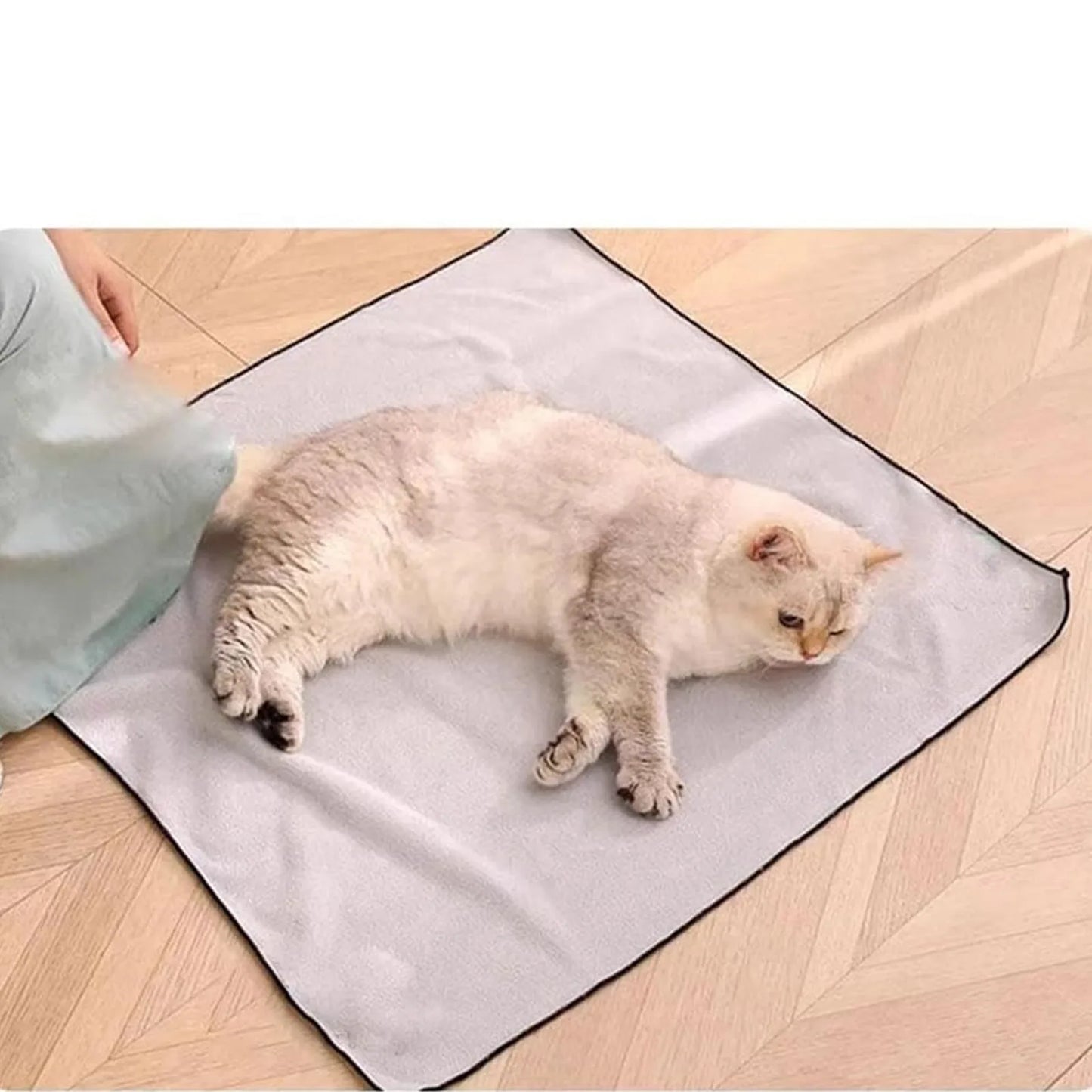 Cat Self-Adhesive Wrap for Cats – Anti-Scratch, Anti-Bite & Anti-Escape