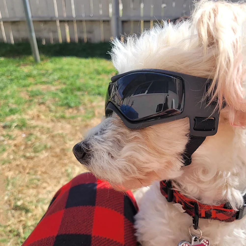 Dog & Cat Sunglasses – UV Protection Goggles for Small & Medium Dogs