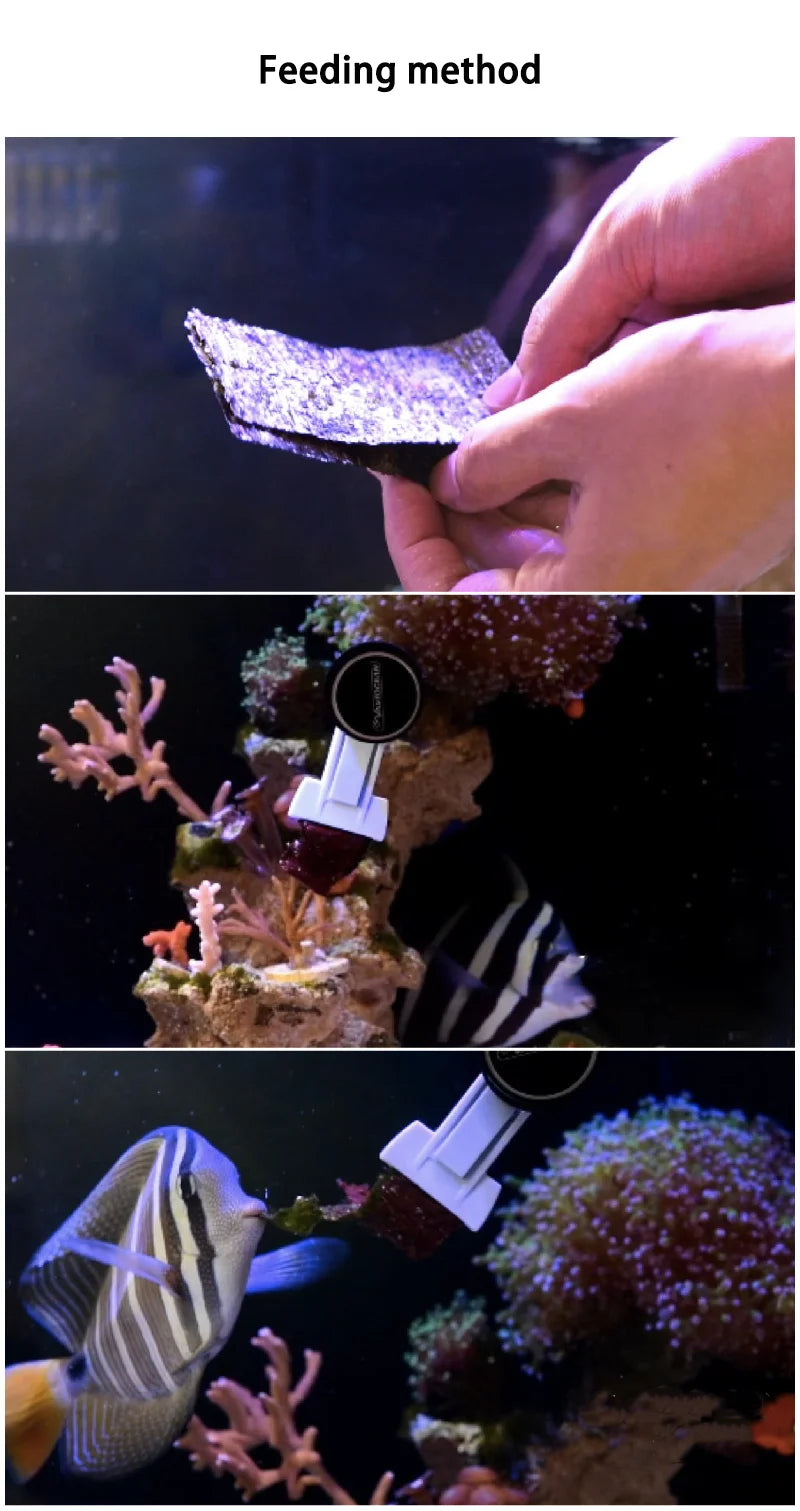 Magnetic Aquarium Veggie Feeding Clip