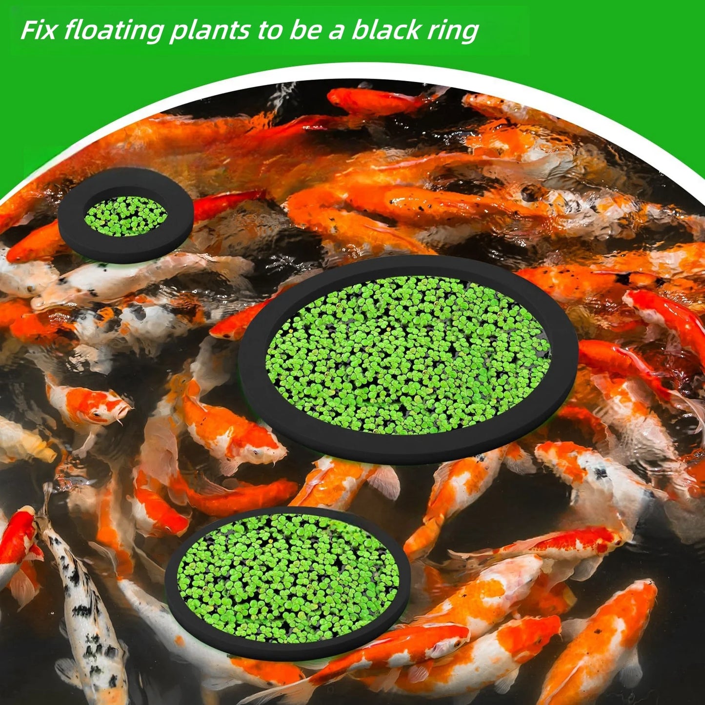 Aquarium Floating Plant/ Feeding Rings – 5-Piece EVA Set