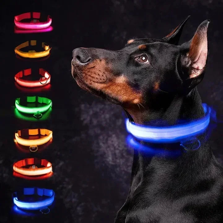 LED Glowing Dog Night Safety Collar