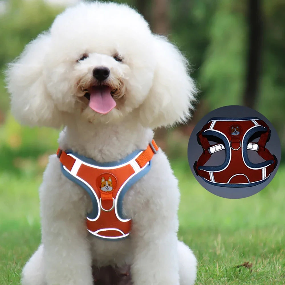 Adjustable Reflective Harness & Leash Set for Small and Medium Dogs / Cats