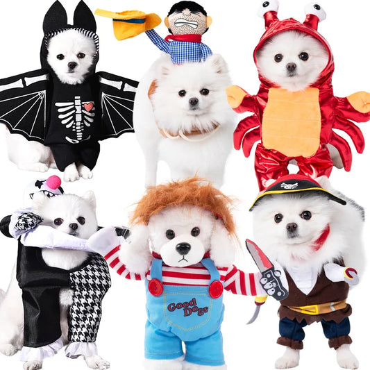 Pet Costume – Funny Outfit for Dogs & Cats | Festival & Party Dress-Up