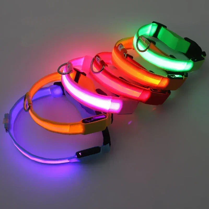 LED Glowing Dog Night Safety Collar