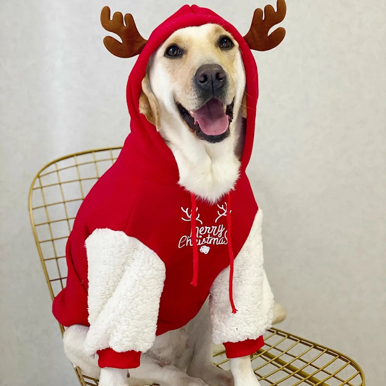 Winter Fleece Dog Sweatshirt with Christmas Fawn Design