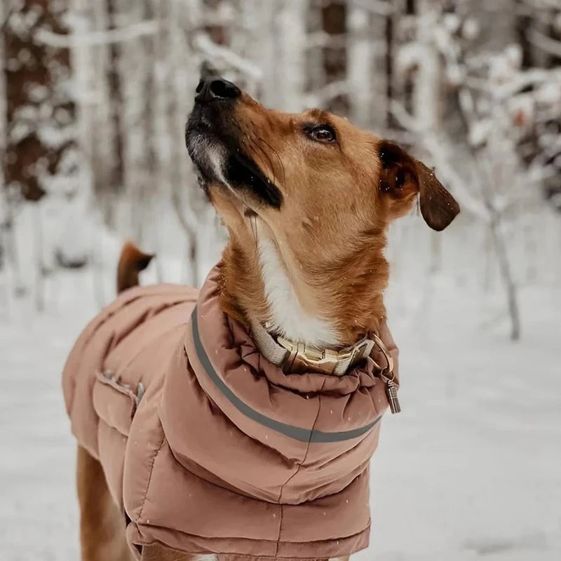Reflective Waterproof Winter Dog Coat – Warm Fleece Padded Vest