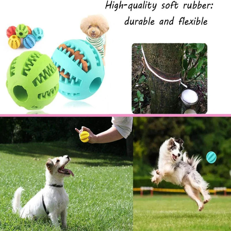 Dog Chew Toy Teeth Cleaning Ball