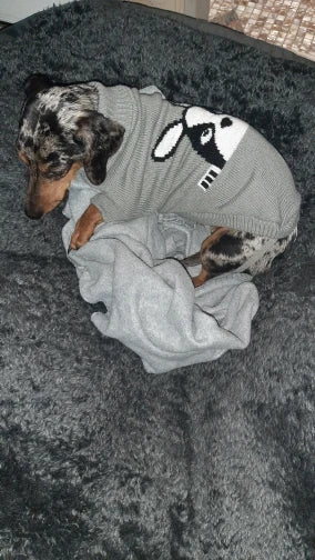 Warm Knitted Dog Sweater – Cozy Winter Clothes for Small & Medium Dogs