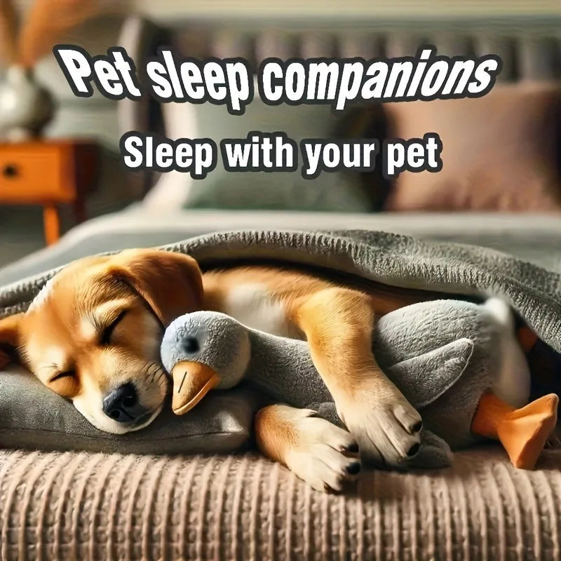 Soft Colorful Duck Plush Toy – Anxiety-Relieving Pet Companion for Cats & Dogs