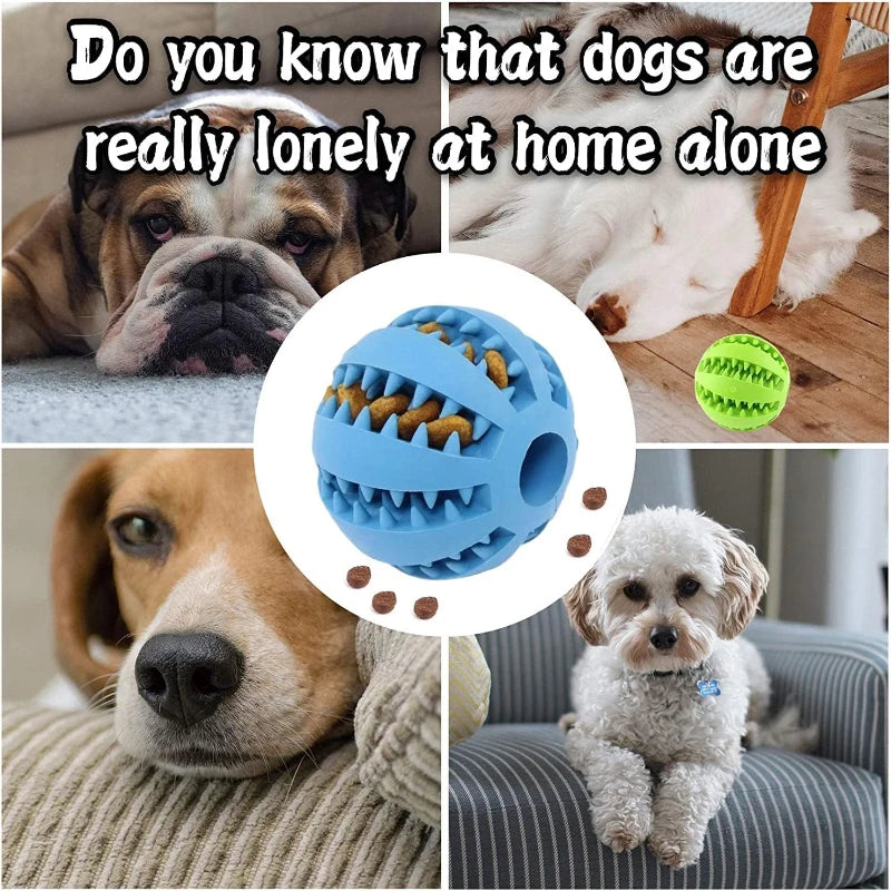 Dog Chew Toy Teeth Cleaning Ball