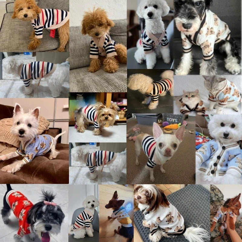 Striped Cotton Cute Cardigan / Sweater for Small Dogs & Cats