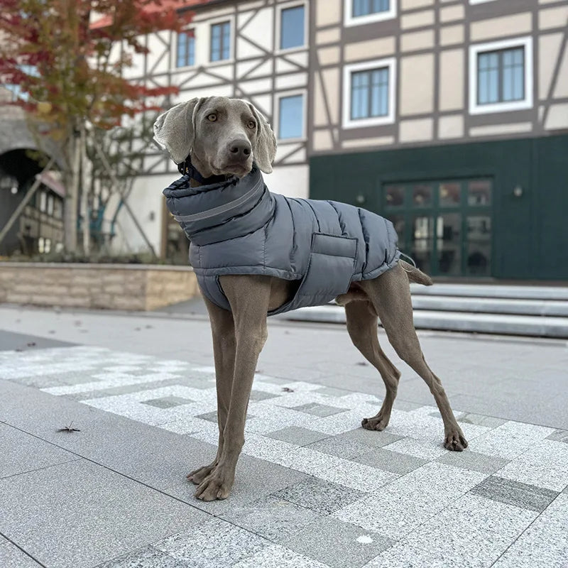 Reflective Waterproof Winter Dog Coat – Warm Fleece Padded Vest
