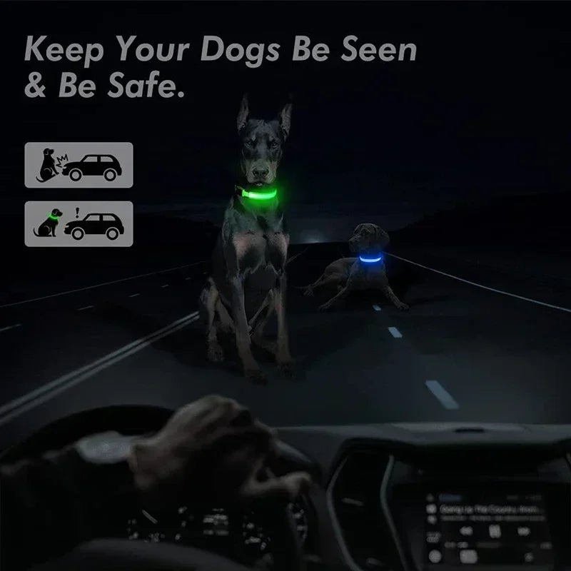 LED Glowing Dog Night Safety Collar
