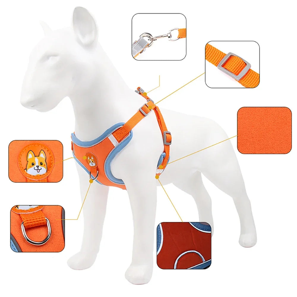 Adjustable Reflective Harness & Leash Set for Small and Medium Dogs / Cats
