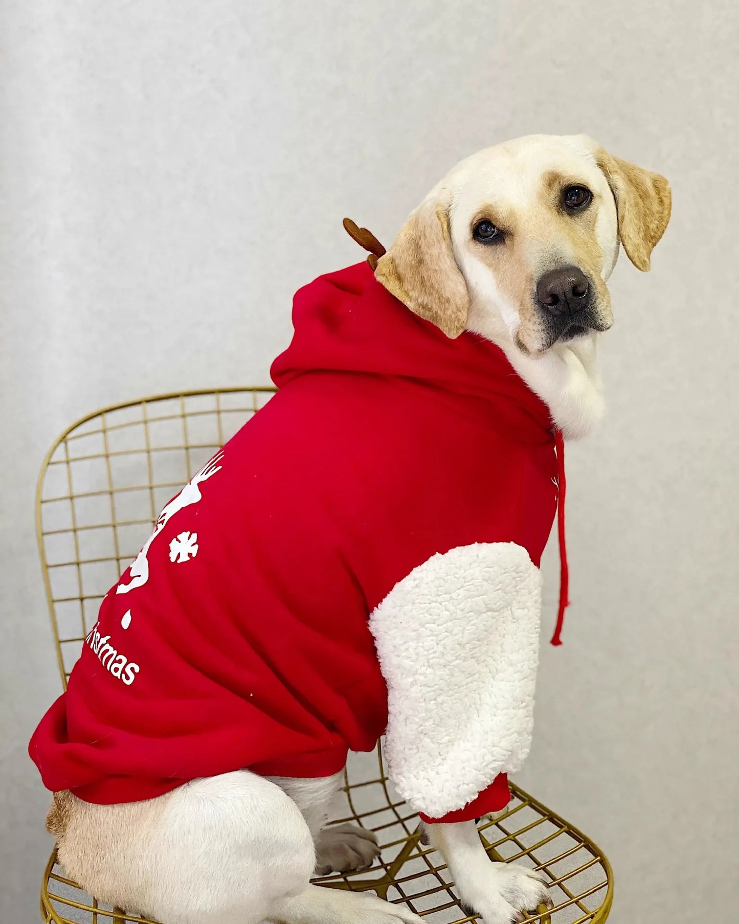 Winter Fleece Dog Sweatshirt with Christmas Fawn Design