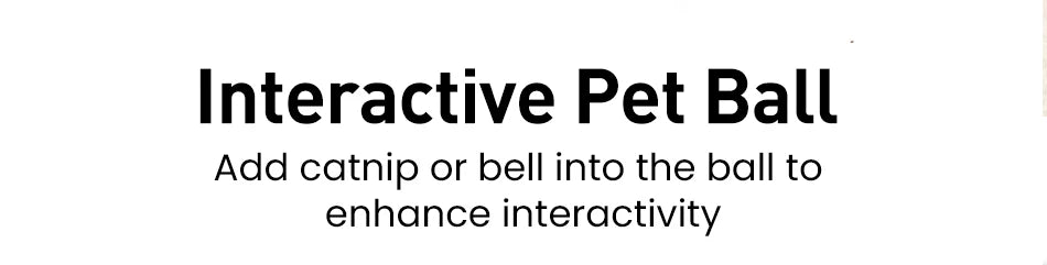 2-in-1 Interactive Cat Toy – Smart Feather Teaser & Automatic Ball for Indoor Cats