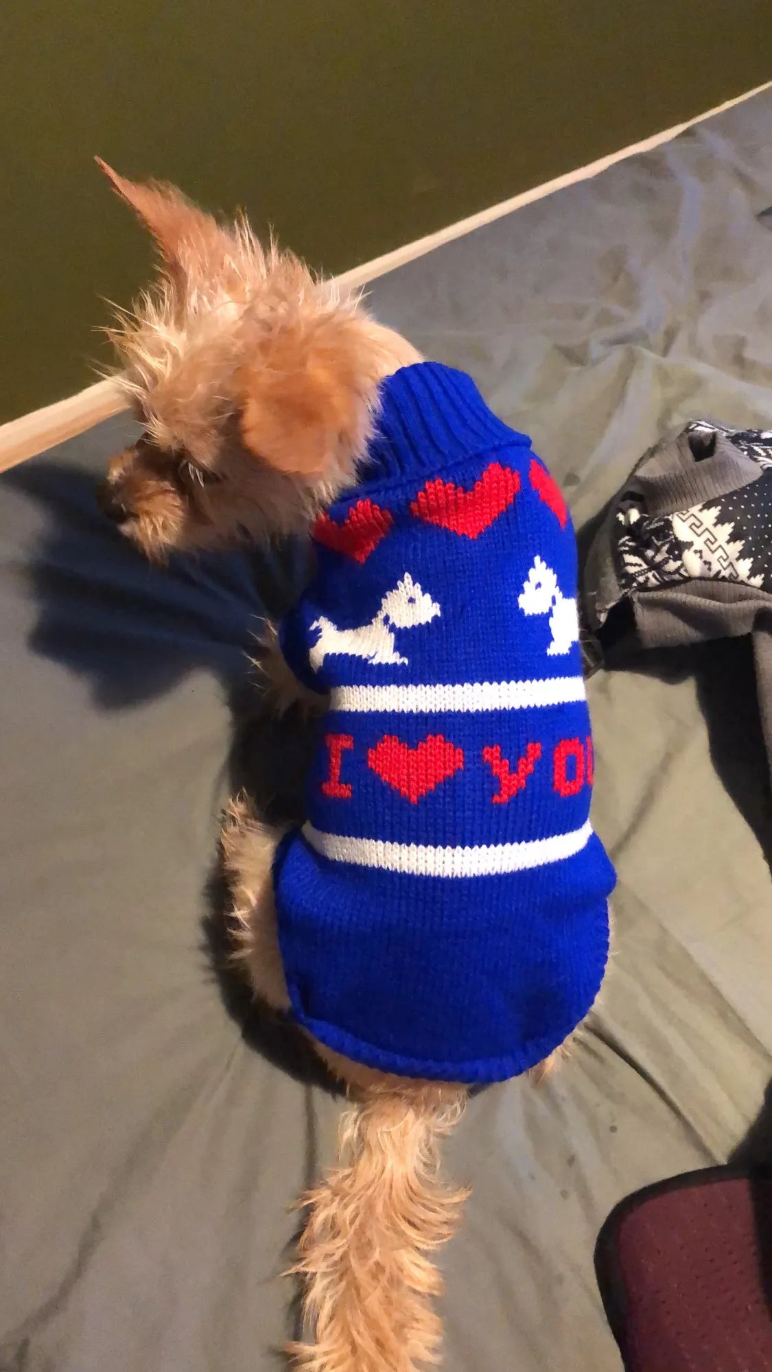 Warm Knitted Dog Sweater – Cozy Winter Clothes for Small & Medium Dogs