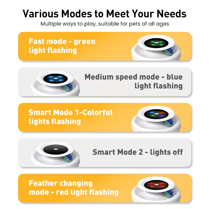 2-in-1 Interactive Cat Toy – Smart Feather Teaser & Automatic Ball for Indoor Cats